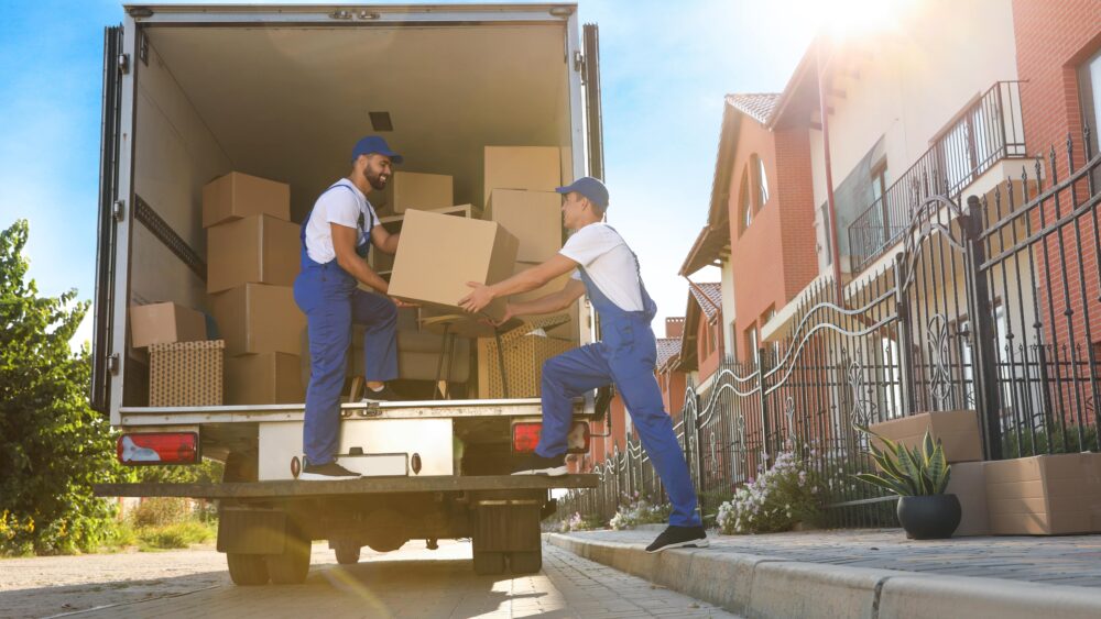Removals and Shifting